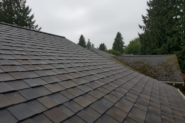 Asphalt Shingle Roofing in Federal Way, Washington